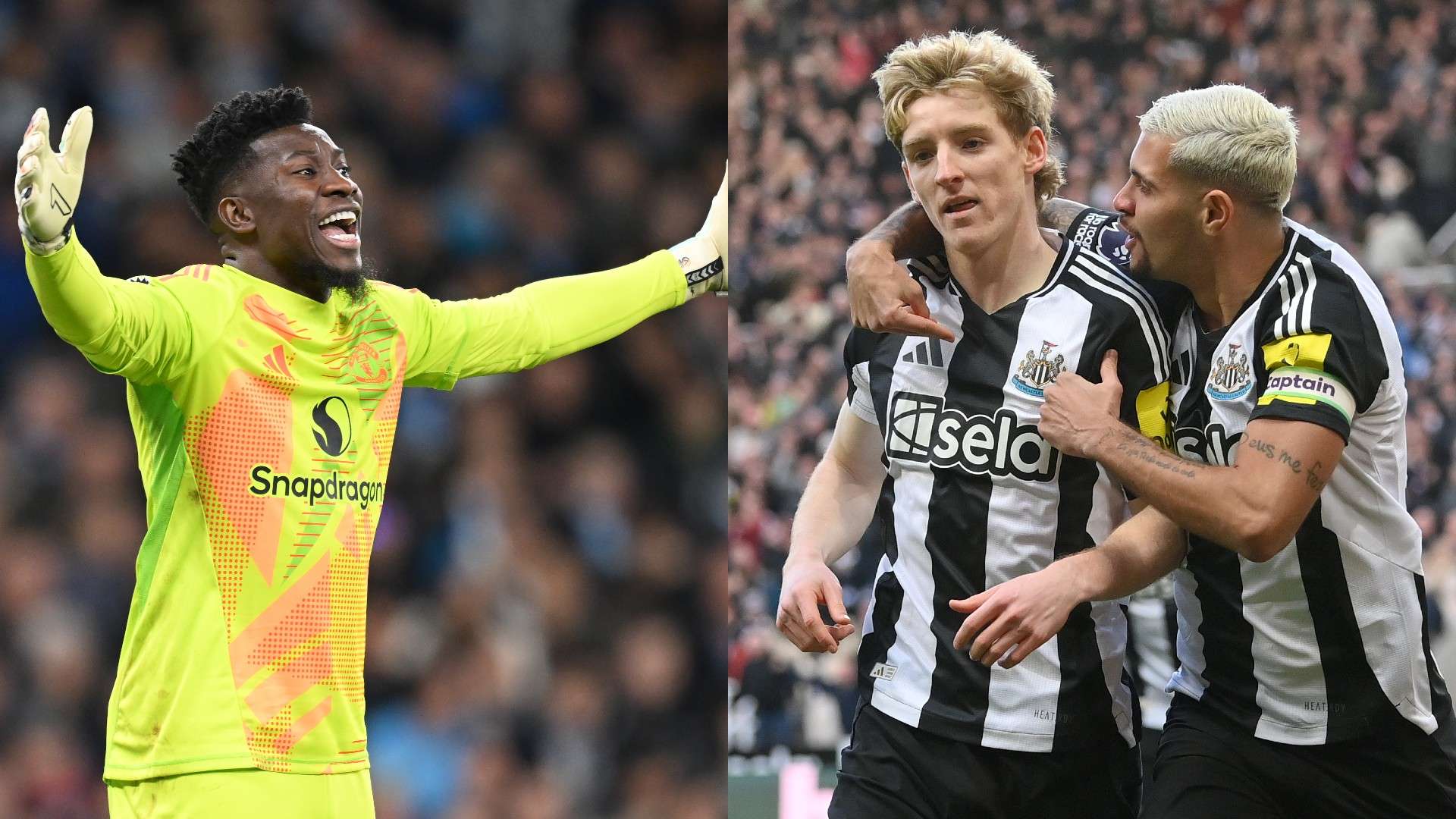 他擅于在 他擅于在