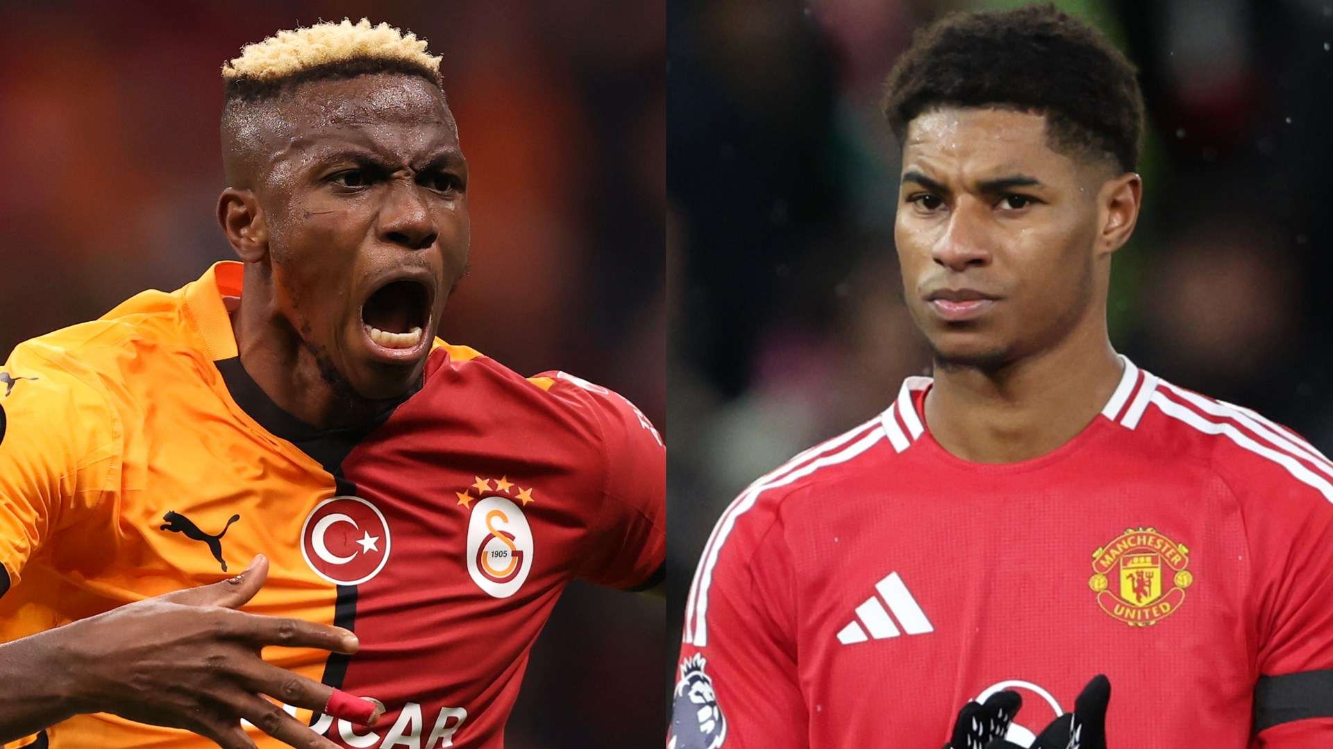 住这个时机 住这个时机